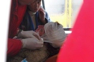 В центрі Києва бурулька розтрощила жінці голову