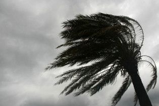 Сильний буревій позривав дахи у Тбілісі: двоє людей загинули