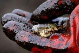 На Дунаї розлилася нафта