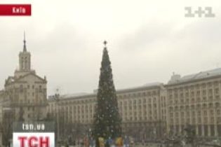 Головну ялинку країни запалять 20 грудня