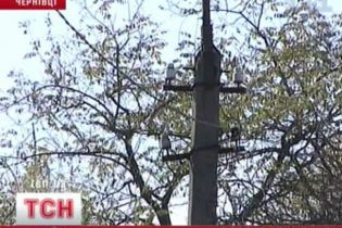 Жителі Чернівців досі мерзнуть (відео)