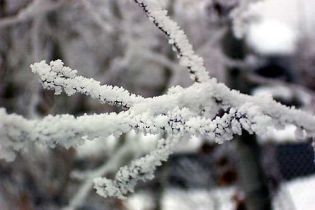 Через обмороження на Тернопільщині троє людей загинули, 8 серйозно постраждали