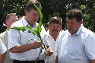 Янукович: "Хліб не подорожчає!"