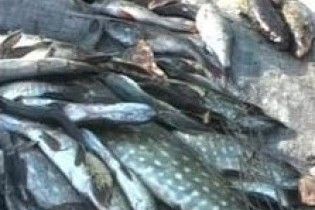 Прикордонники піймали херсонських браконьєрів з великою кількістю риби