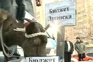 У центрі Луганська годували козу бюджетними грошима (відео)