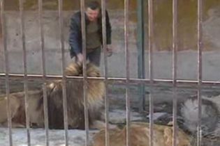 Оселю запорізького художника охороняють троє левів (відео)