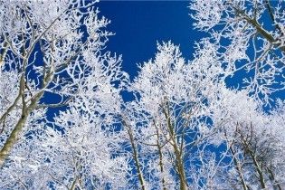 Погода в Україні на суботу, 23 січня