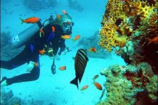 На Мальдівах провели перше в історії підводне засідання Кабміну