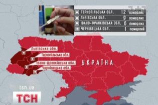 МОЗ: Від свинячого грипу на Закарпатті ніхто не помирав