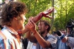 В Одесі у бійці біля суду поранили телевізійника
