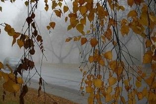 Погода в Україні на четвер, 29 жовтня