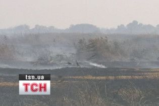 Пожежа на мулових полях біля Києва ліквідована
