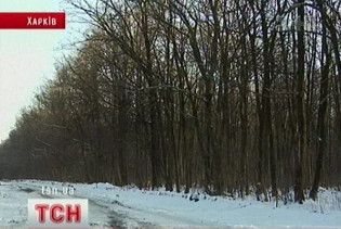 70 гектарів цінного лісу продали за підробним рішенням Печерського суду