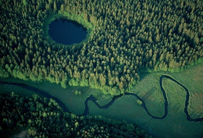 Єврокомісія судиться з Польщею