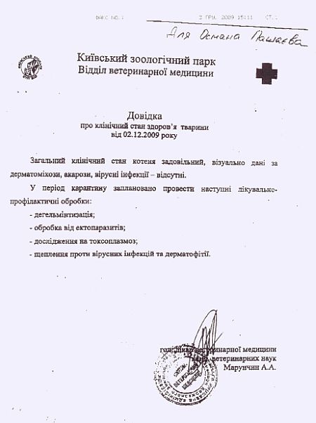 Довідка кошеня