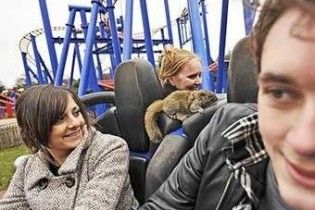 У Британії білці заборонили кататися на атракціоні