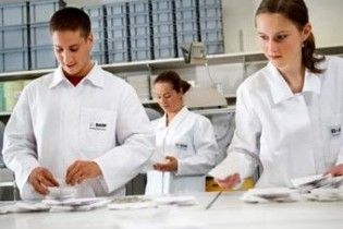 У Європі дозволили вирощувати трансгенну картоплю