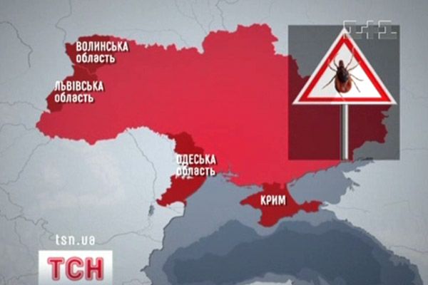 Кліщ