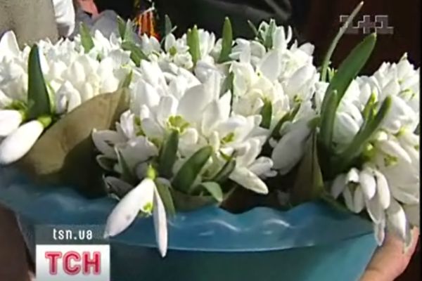 Проліски