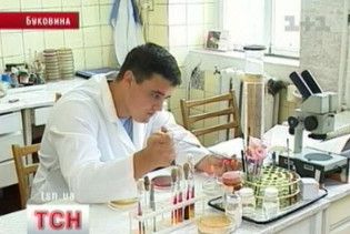 Восени на Буковині очікують спалах лептоспірозу