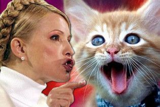 Тимошенко поскаржилася на істеричний "кошачий хор"