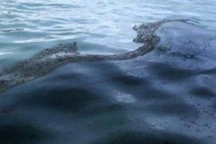 У Чорне море розлили соняшникову олію
