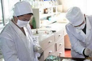 Вчені створили штучну печінку на основі судин кишечнику свиней