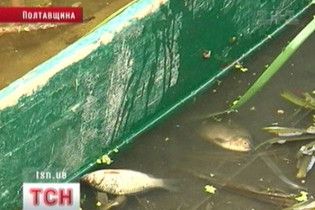 Полтавщина потерпає від мертвої води