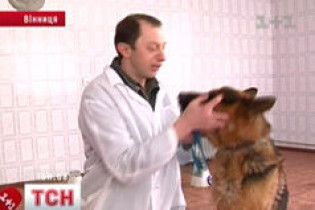 Службові собаки ловлять злочинців за запахом з консервів