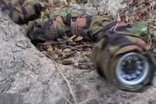 На озброєння Армії оборони Ізраїлю надійде робот-змія