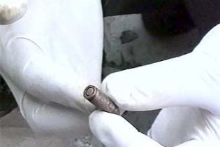 Потрійне вбивство