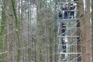 Самогубець провисів на дереві 29 років