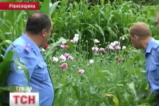 Міліція бореться з селянами, які вирощують мак на пироги