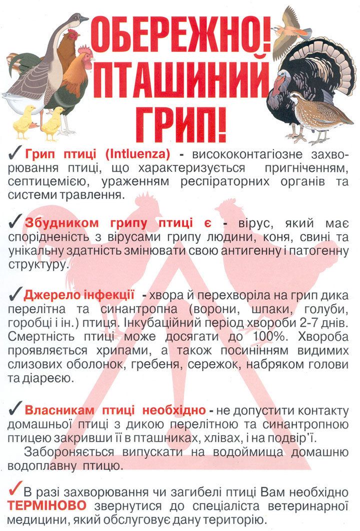 Пташиний грип