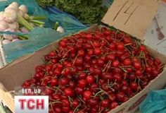 Вишні