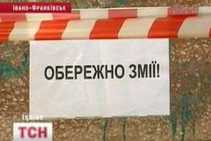 Змії