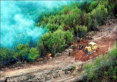 пожежа в туреччині