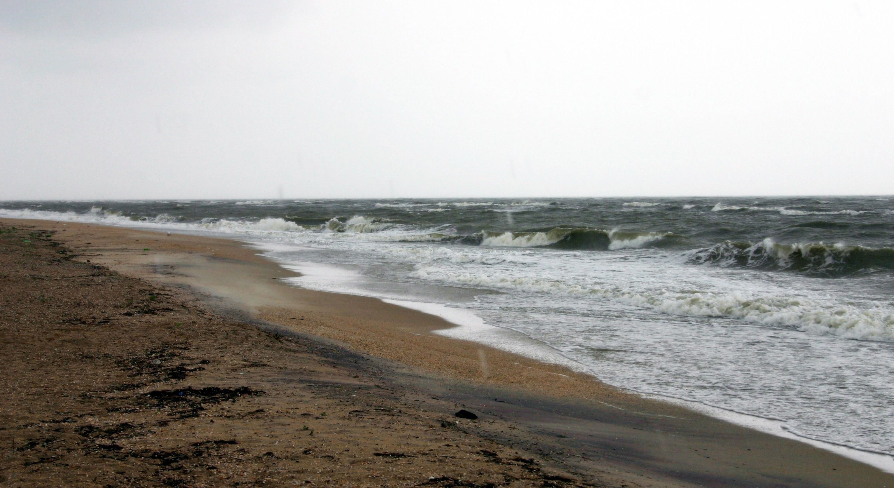 Азовське море