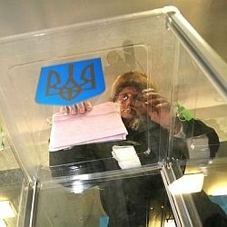 Вибори