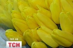 Квіти