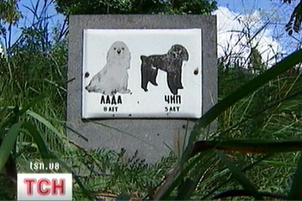 Могила собак