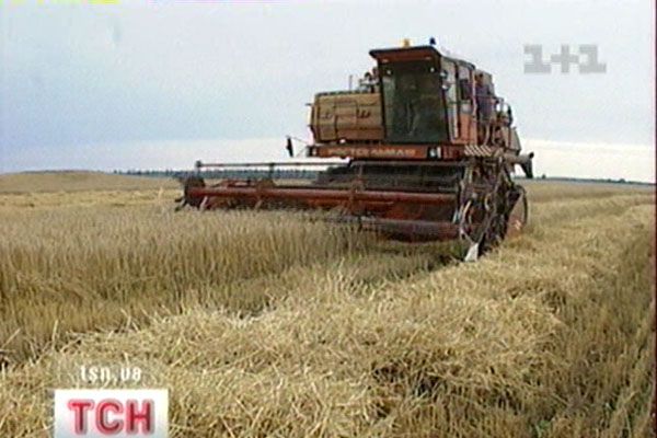 Жнива