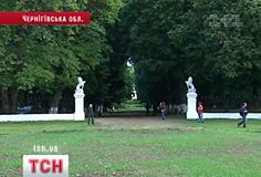 tsn