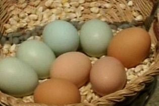 Мачуха вбила дворічного пасинка через куряче яйце