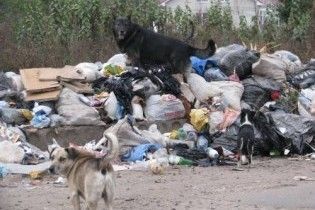 З Тернополя два дні не вивозять сміття