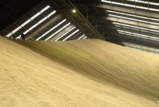 Ціни на зерно стрибнули до дворічного максимуму
