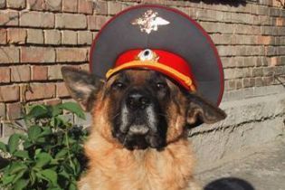 Мухтар повертається: "1+1" покаже всі сезони серіалу