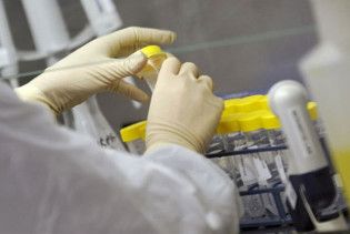 Німецькі дослідники не знайшли у сої небезпечних бактерій