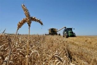 Індія може відмовитися від українського зерна