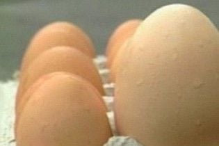 Курка знесла страусине яйце та здохла
